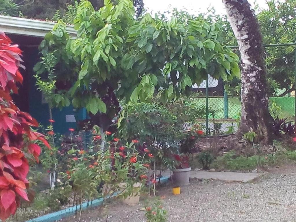 Cabinas Surf Side Cahuita Esterno foto